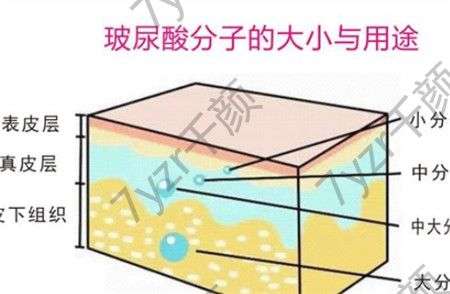 填充臥蠶的方法有哪些?